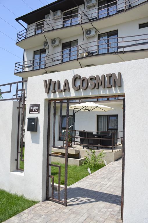 Vila Cosmin 科斯蒂内什蒂